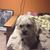 Rauce Corbett's profile image