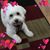 Linda Adam's profile image