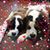 Joan Bodah's profile image