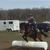 Julie Sornsin-Cardwell's profile image