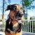 Paul Matthew Brown's profile image