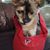 Sheri L Bailey's profile image