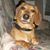 Candy Parker's profile image