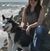 Desa Lynn Shipman's profile image