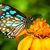 Wayne Marcia Cates's profile image