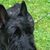 Elaine Nethercote's profile image