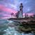 Wendy Hough Backus's profile image