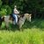Brenda Rouzer's profile image