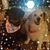 Jodi Jarvis-Therrian's profile image