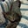 Christi Raines's profile image