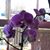 Andree Brown's profile image