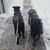 Kimberly Brummett's profile image