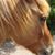 Dyan Elyn Wellmon's profile image