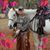 Karen Akin's profile image