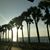 Laura A. Brunkow's profile image