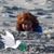 Connie Sesko Kresge's profile image