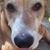 Karen Madden Simmons's profile image