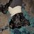 Yazmin Rodriguez's profile image
