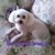 Sandi Beekman's profile image