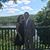 Tina Monaco Johnson's profile image