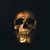 Mark A. Miller's profile image