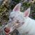 Derek Hathaway's profile image