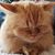 Barb Schuett Kleemeier's profile image