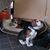 Darlene V. Perkins Thomas's profile image