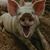 Mark An Dottie's profile image
