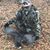 Carey Alan's profile image