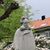 Ige Gustavson's profile image