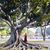 Kimberly Vivianne Howells's profile image