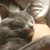Gerri D Akers's profile image