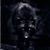 Jay Rudner's profile image