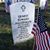 Carol Hagerman's profile image