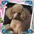 Ellen Saper's profile image