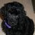 Deborah Lowman's profile image