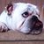 Vickie Froman's profile image