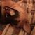 Jared Fulcher's profile image