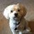 Kristina Renee Zurawsky's profile image