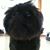 Bridget Maxwell's profile image
