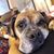 Linda Anne's profile image