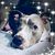 Sue Weber- Angarola's profile image