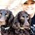 Katherine Lawhon's profile image