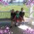 Samantha Carmean's profile image