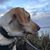 Brandi Sucevich Burnsed's profile image