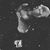 Adam Pinder's profile image