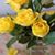Christine Dubois Kinney's profile image
