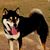Polly Sowell's profile image
