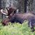Gary M. Jones's profile image